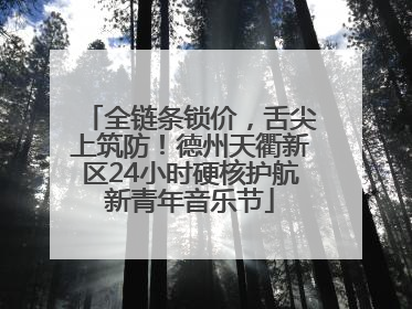 全链条锁价，舌尖上筑防！德州天衢新区24小时硬核护航新青年音乐节