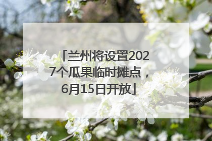 兰州将设置2027个瓜果临时摊点，6月15日开放