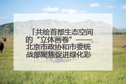 共绘首都生态空间的“立体画卷”——北京市政协和市委统战部聚焦促进绿化彩化美化生态空间建设联合协商议政