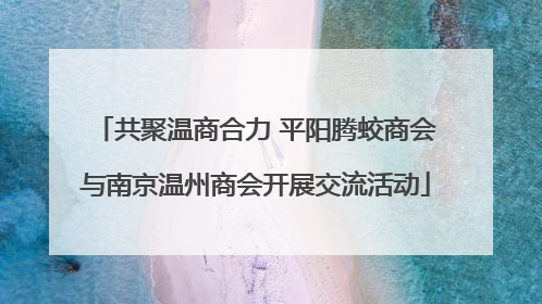 共聚温商合力 平阳腾蛟商会与南京温州商会开展交流活动