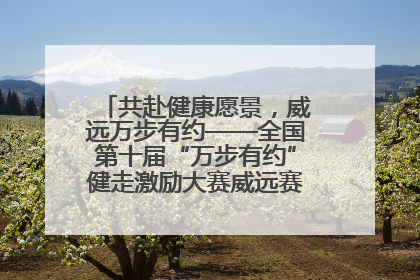 共赴健康愿景，威远万步有约——全国第十届“万步有约”健走激励大赛威远赛区启动仪式