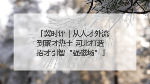 冀时评｜从人才外流到聚才热土 河北打造招才引智“强磁场”
