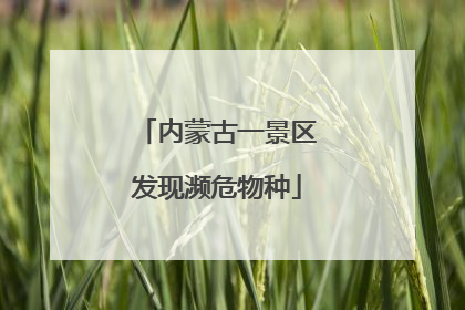 内蒙古一景区发现濒危物种
