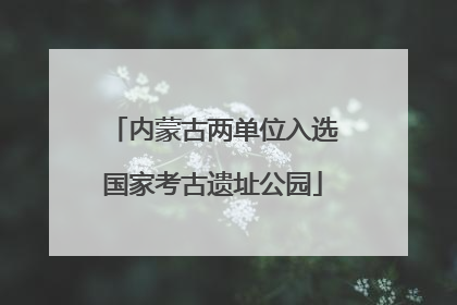 内蒙古两单位入选国家考古遗址公园