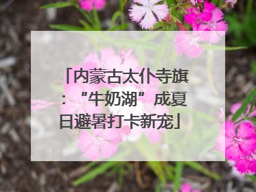 内蒙古太仆寺旗：“牛奶湖”成夏日避暑打卡新宠
