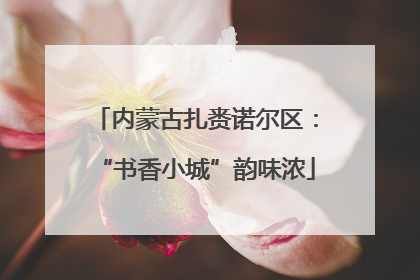 内蒙古扎赉诺尔区：“书香小城”韵味浓