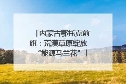 内蒙古鄂托克前旗：荒漠草原绽放“能源马兰花”