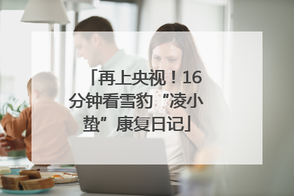 再上央视！16分钟看雪豹“凌小蛰”康复日记