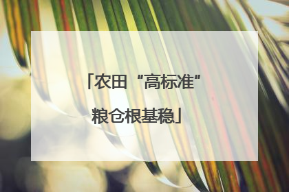 农田“高标准” 粮仓根基稳