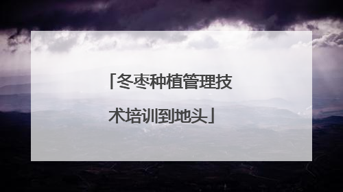 冬枣种植管理技术培训到地头