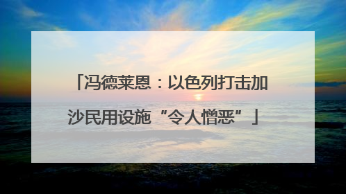 冯德莱恩：以色列打击加沙民用设施“令人憎恶”