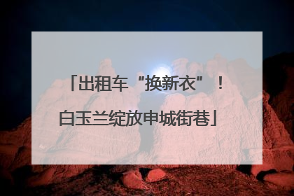 出租车“换新衣”！白玉兰绽放申城街巷
