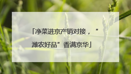 净菜进京产销对接，“潍农好品”香满京华
