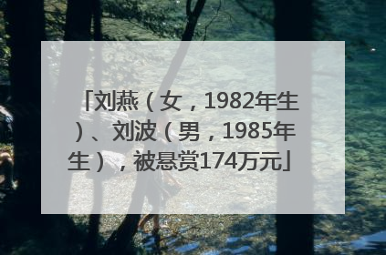 刘燕（女，1982年生）、刘波（男，1985年生），被悬赏174万元