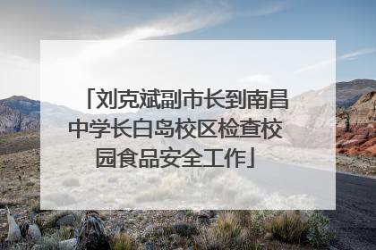 刘克斌副市长到南昌中学长白岛校区检查校园食品安全工作