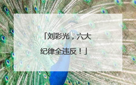 刘彩光，六大纪律全违反！