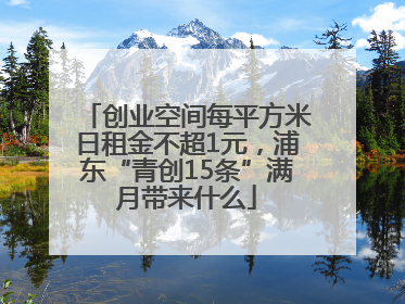 创业空间每平方米日租金不超1元，浦东“青创15条”满月带来什么