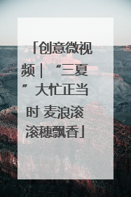 创意微视频｜“三夏”大忙正当时 麦浪滚滚穗飘香