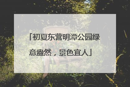 初夏东营明潭公园绿意盎然，景色宜人