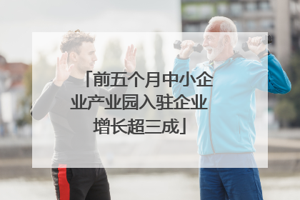 前五个月中小企业产业园入驻企业增长超三成