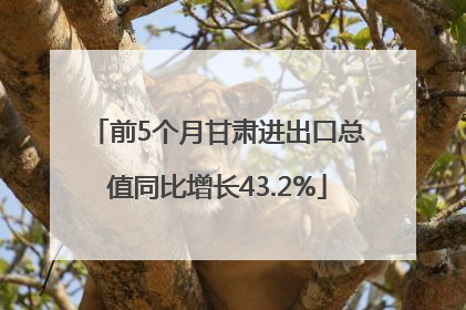 前5个月甘肃进出口总值同比增长43.2%