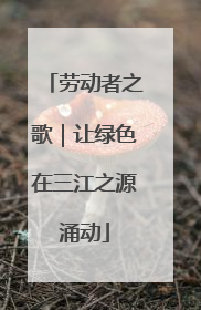 劳动者之歌｜让绿色在三江之源涌动