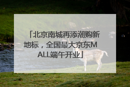 北京南城再添潮购新地标，全国最大京东MALL端午开业