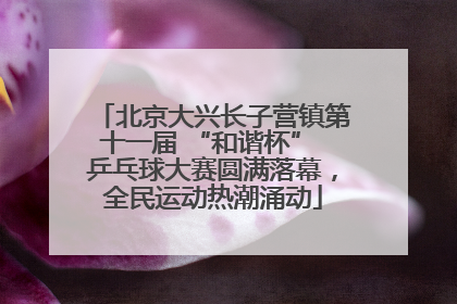 北京大兴长子营镇第十一届 “和谐杯” 乒乓球大赛圆满落幕，全民运动热潮涌动