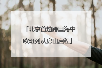 北京首趟跨里海中欧班列从房山启程
