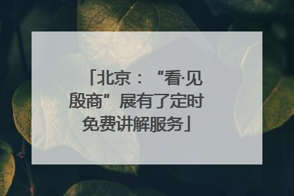 北京：“看·见殷商”展有了定时免费讲解服务