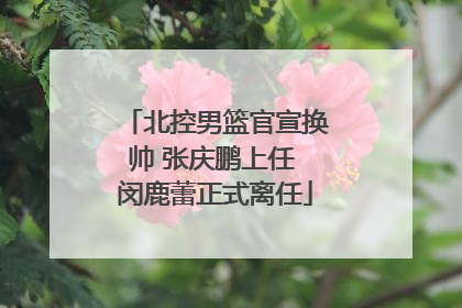 北控男篮官宣换帅 张庆鹏上任 闵鹿蕾正式离任