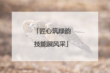 匠心筑绿韵 技能展风采