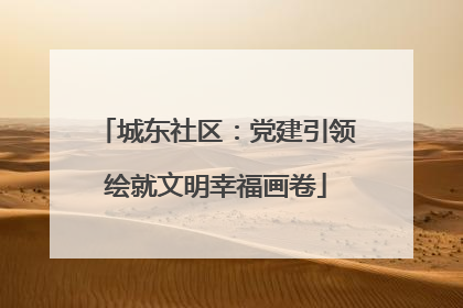 城东社区：党建引领绘就文明幸福画卷