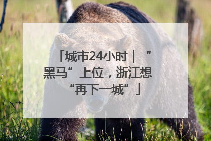 城市24小时｜“黑马”上位，浙江想“再下一城”