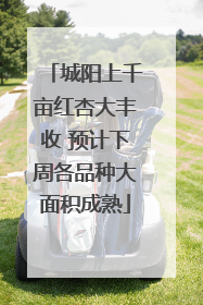 城阳上千亩红杏大丰收 预计下周各品种大面积成熟