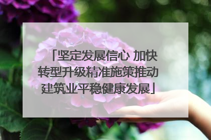 坚定发展信心 加快转型升级精准施策推动建筑业平稳健康发展