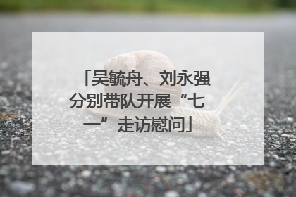 吴毓舟、刘永强分别带队开展“七一”走访慰问