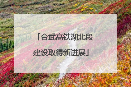 合武高铁湖北段建设取得新进展