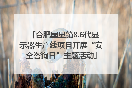 合肥国显第8.6代显示器生产线项目开展“安全咨询日”主题活动