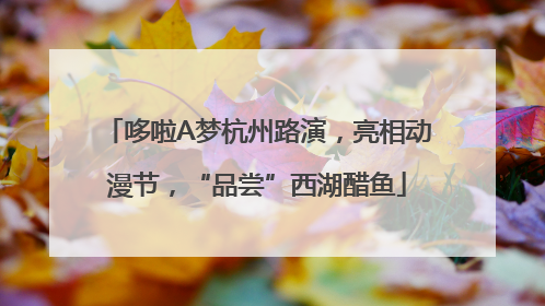 哆啦A梦杭州路演，亮相动漫节，“品尝”西湖醋鱼