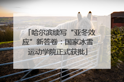 哈尔滨续写“亚冬效应”新答卷：国家冰雪运动学院正式获批
