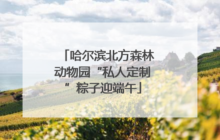 哈尔滨北方森林动物园“私人定制”粽子迎端午