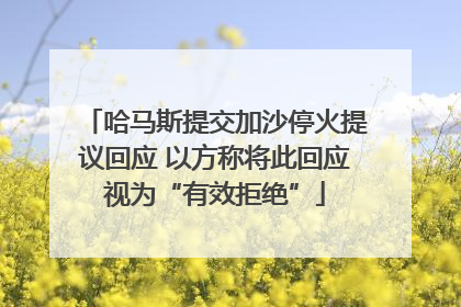 哈马斯提交加沙停火提议回应 以方称将此回应视为“有效拒绝”