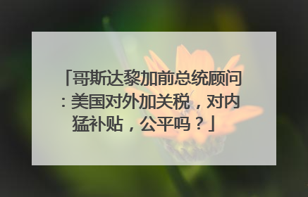 哥斯达黎加前总统顾问：美国对外加关税，对内猛补贴，公平吗？