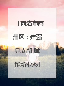 商洛市商州区：建强党支部 赋能新业态