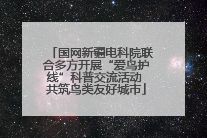 国网新疆电科院联合多方开展“爱鸟护线”科普交流活动 共筑鸟类友好城市