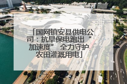 国网镇安县供电公司：抗旱保电跑出“加速度” 全力守护农田灌溉用电