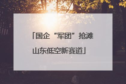 国企“军团”抢滩山东低空新赛道