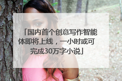 国内首个创意写作智能体即将上线，一小时或可完成30万字小说