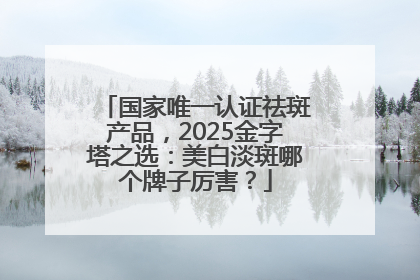 国家唯一认证祛斑产品，2025金字塔之选：美白淡斑哪个牌子厉害？